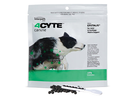 4CYTE™ CANINE Granules