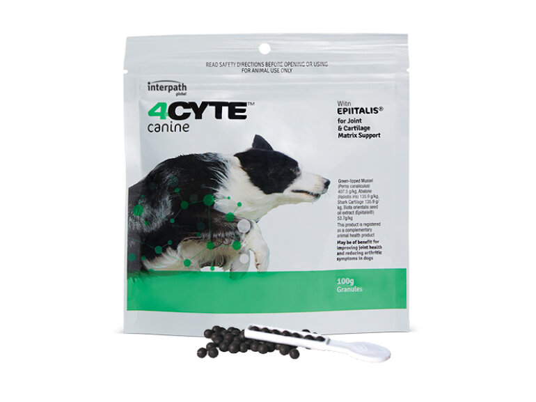 4CYTE™ CANINE Granules