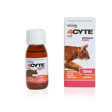 4CYTE™ EPIITALIS® FORTE Cat Gel