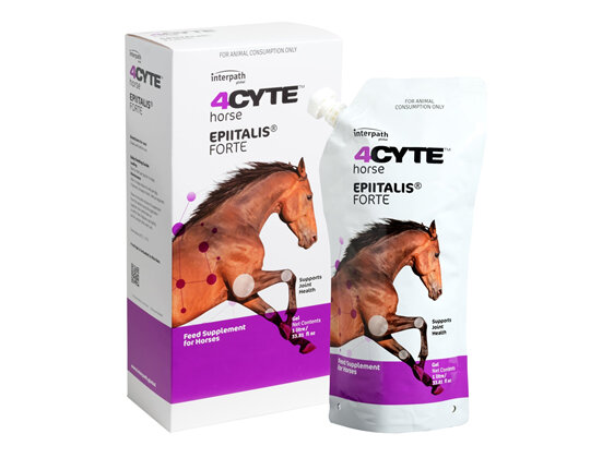 4CYTE™ EPIITALIS® FORTE Equine Gel