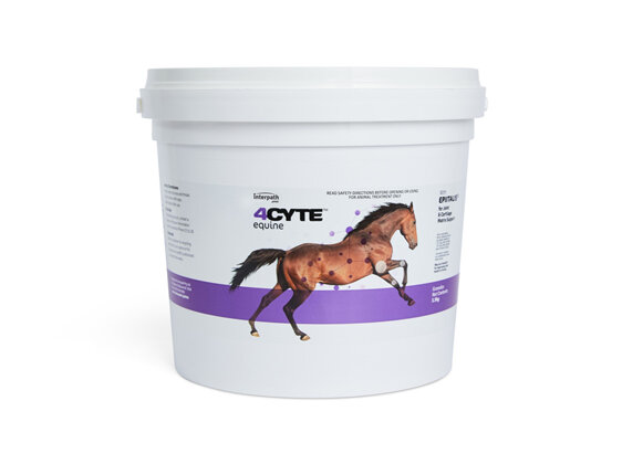 4CYTE™ EQUINE Granules