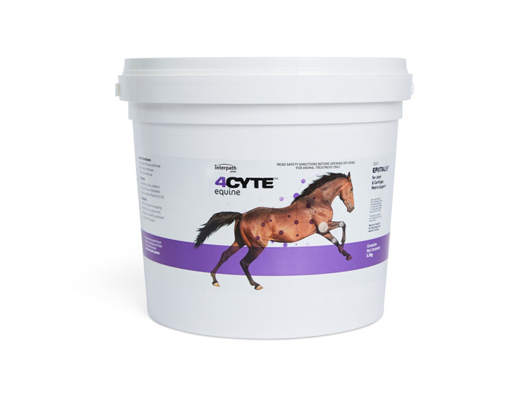 4CYTE™ EQUINE Granules