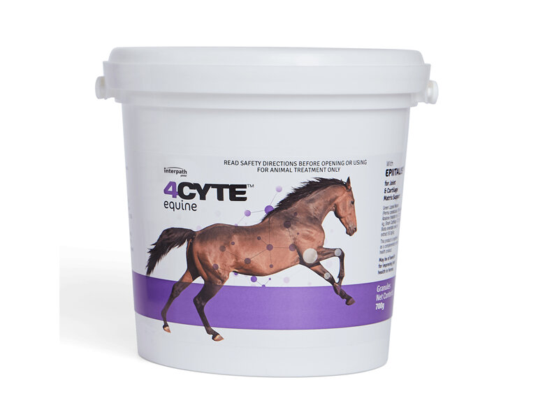 4CYTE™ EQUINE Granules