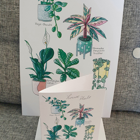 5 Indoor Plants A5 Print