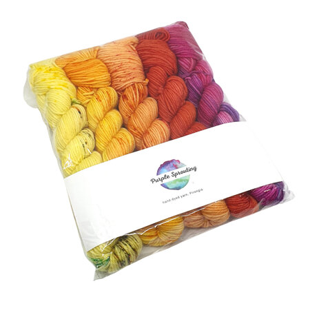 5 x 20g Mini Skein Set - Venus Collection on 4ply Deluxe