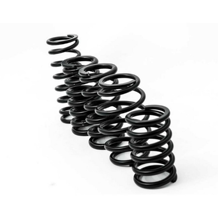 62mm ID Race Coil (Pair) - 200mm 4kg