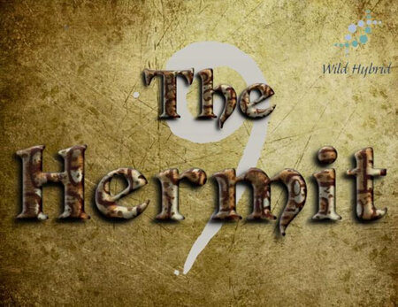 9 - The Hermit