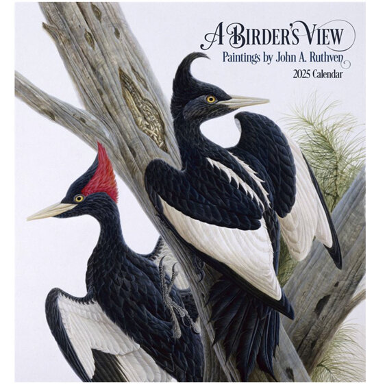 A Birder's View by John A. Ruthven - 2025 Wall Calendar from Pomegranate