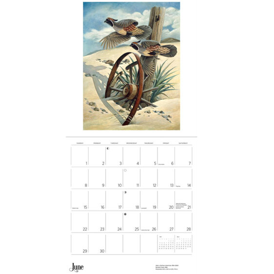 A Birder's View by John A. Ruthven - 2025 Wall Calendar from Pomegranate