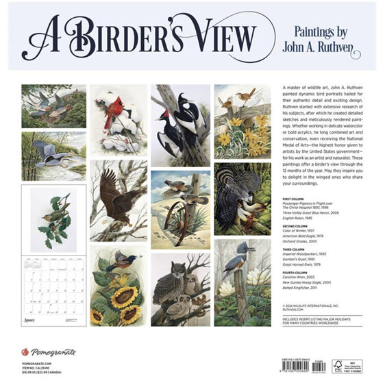 A Birder's View by John A. Ruthven - 2025 Wall Calendar from Pomegranate