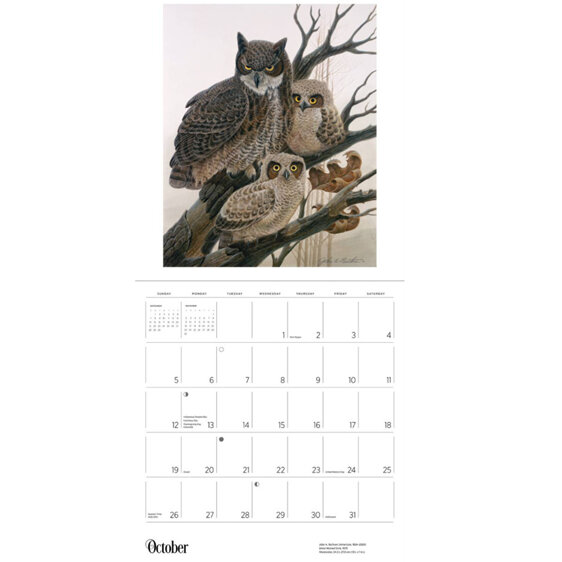 A Birder's View by John A. Ruthven - 2025 Wall Calendar from Pomegranate