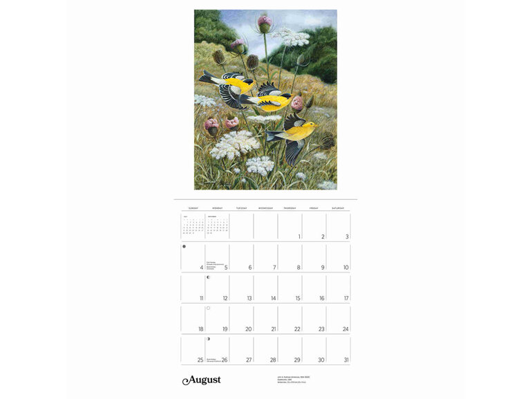 A Birder's View by John A. Ruthven - 2024 Wall Calendar from Pomegranate