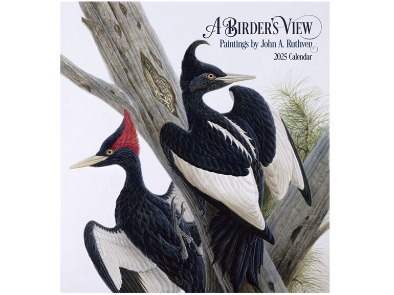 A Birder's View by John A. Ruthven - 2025 Wall Calendar from Pomegranate