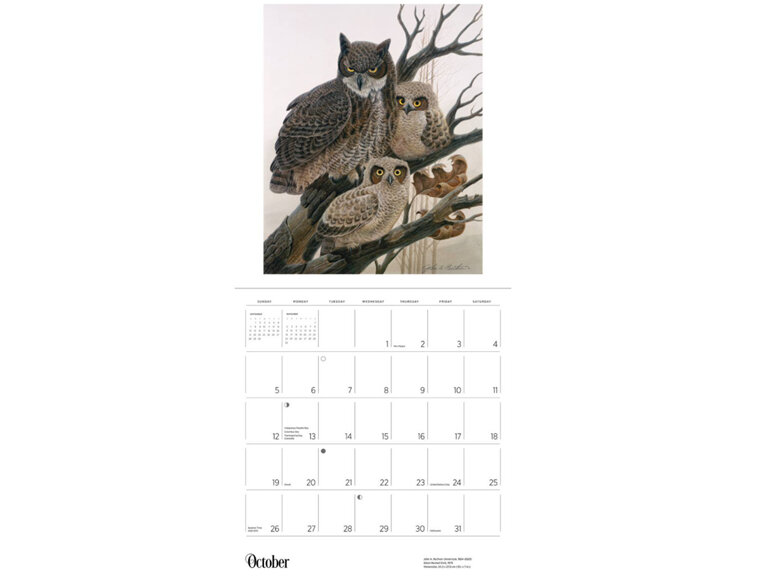 A Birder's View by John A. Ruthven - 2025 Wall Calendar from Pomegranate