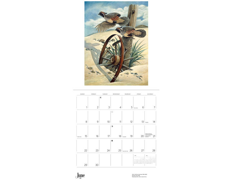 A Birder's View by John A. Ruthven - 2025 Wall Calendar from Pomegranate