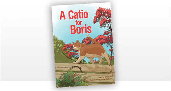 A catio for Boris