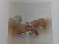 A Folio of Watercolours By Charles Heaphy