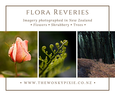 A4 Art Prints, Flora, Trees, NZ Nature, Photography, The Wonky Pixie, NZ