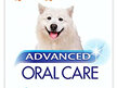 Advanced Oral Care Pet Toothpaste