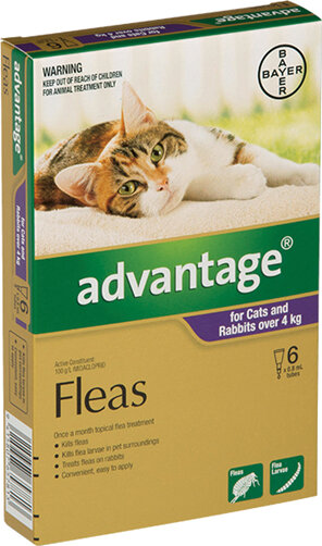 Advantage® Flea Treatment for Cats and Rabbits over 4kg,  4 or 6 pack