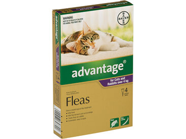 Advantage® Flea Treatment for Cats and Rabbits over 4kg,  4 or 6 pack