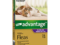 Advantage® Flea Treatment for Cats and Rabbits over 4kg,  4 or 6 pack