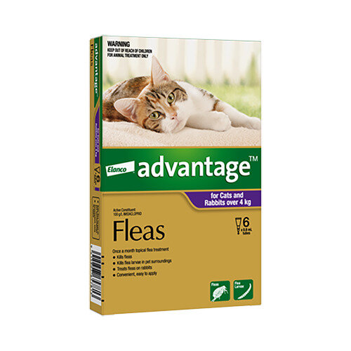 Advantage® Flea Treatment for Cats and Rabbits over 4kg,  4 or 6 pack