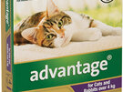 Advantage® Flea Treatment for Cats and Rabbits over 4kg,  4 or 6 pack