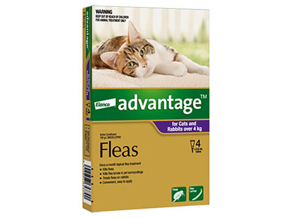 Advantage® Flea Treatment for Cats and Rabbits over 4kg,  4 or 6 pack