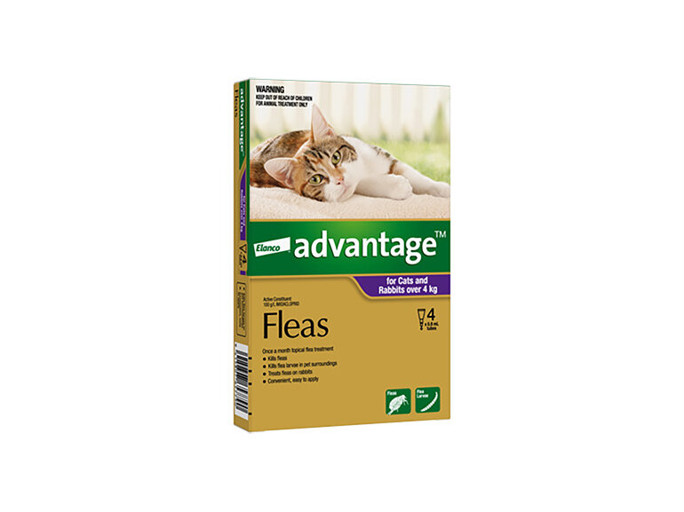 Advantage® Flea Treatment for Cats and Rabbits over 4kg,  4 or 6 pack