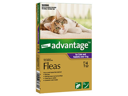 Advantage® Flea Treatment for Cats and Rabbits over 4kg,  4 or 6 pack