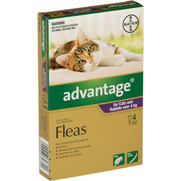 Advantage® Flea Treatment for Cats and Rabbits over 4kg,  4 or 6 pack