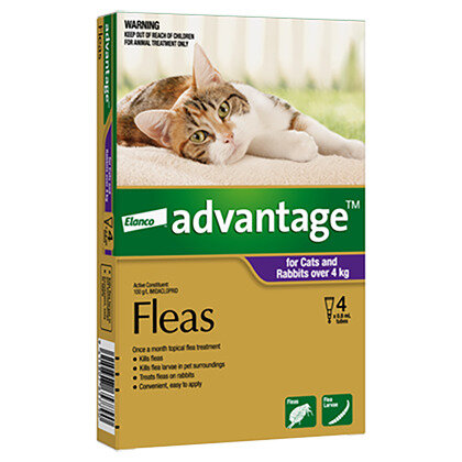 Advantage® Flea Treatment for Cats and Rabbits over 4kg,  4 or 6 pack