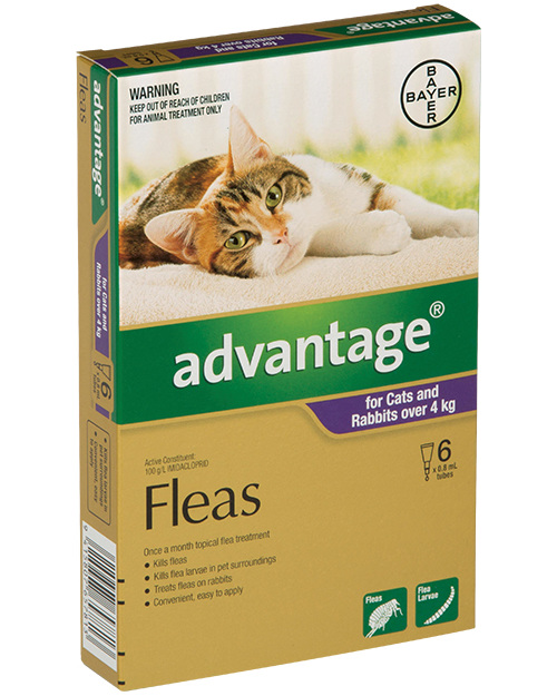 Advantage® Flea Treatment for Cats and Rabbits over 4kg,  4 or 6 pack