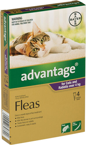 Advantage® Flea Treatment for Cats and Rabbits over 4kg,  4 or 6 pack