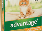 Advantage® Flea Treatment for Cats, Kittens and Rabbits less than 4kg,  4 or 6 pack