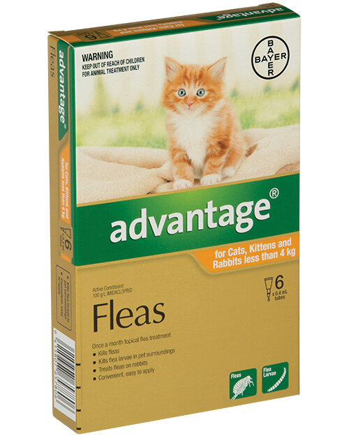 Advantage® Flea Treatment for Cats, Kittens and Rabbits less than 4kg,  4 or 6 pack