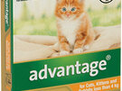 Advantage® Flea Treatment for Cats, Kittens and Rabbits less than 4kg,  4 or 6 pack