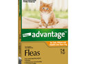 Advantage® Flea Treatment for Cats, Kittens and Rabbits less than 4kg,  4 or 6 pack