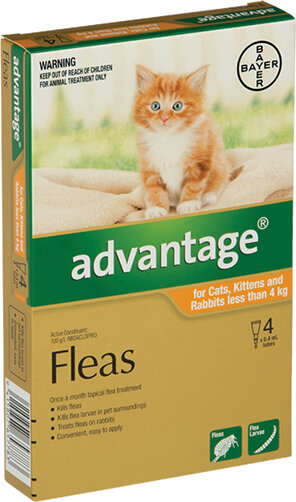 Advantage® Flea Treatment for Cats, Kittens and Rabbits less than 4kg,  4 or 6 pack