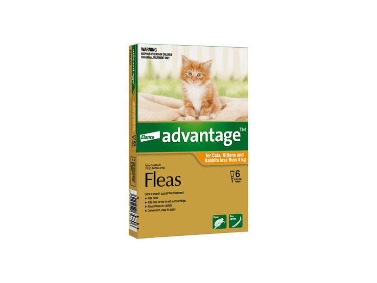 Advantage® Flea Treatment for Cats, Kittens and Rabbits less than 4kg,  4 or 6 pack