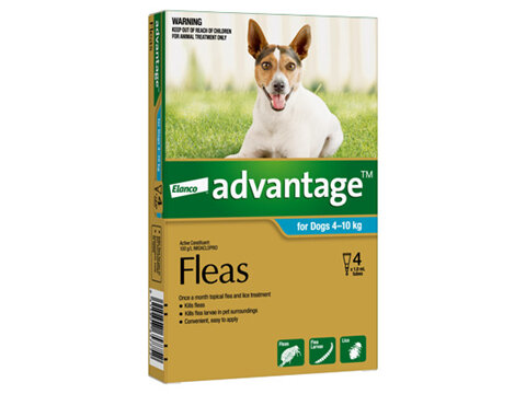 Advantage® Flea Treatment for Dogs  4-10kg,  4 pack