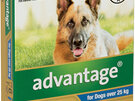 Advantage® Flea Treatment for Dogs over 25kg, 4 or 6 pack