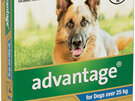 Advantage® Flea Treatment for Dogs over 25kg, 4 or 6 pack