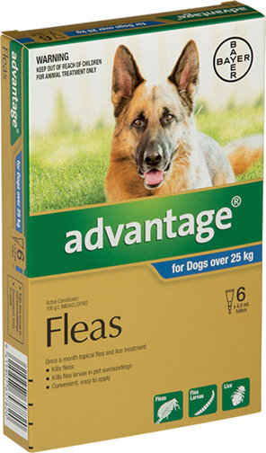 Advantage® Flea Treatment for Dogs over 25kg, 4 or 6 pack