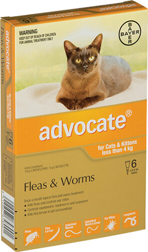 Advocate® Flea and Worm Treatment for Cats & Kittens less than 4kg, 3 or 6 pack