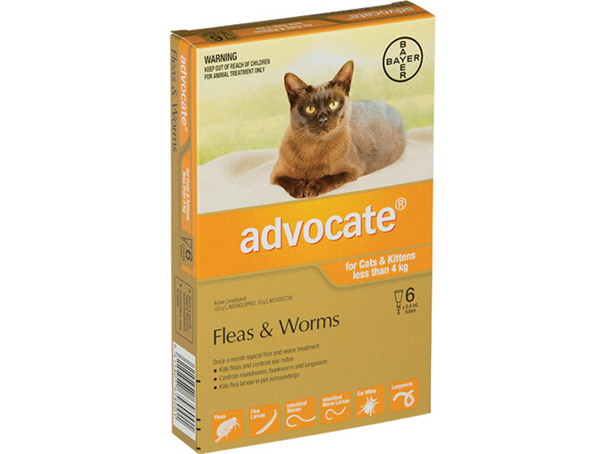 Advocate® Flea and Worm Treatment for Cats & Kittens less than 4kg, 3 or 6 pack