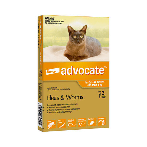 Advocate® Flea and Worm Treatment for Cats & Kittens less than 4kg, 3 or 6 pack