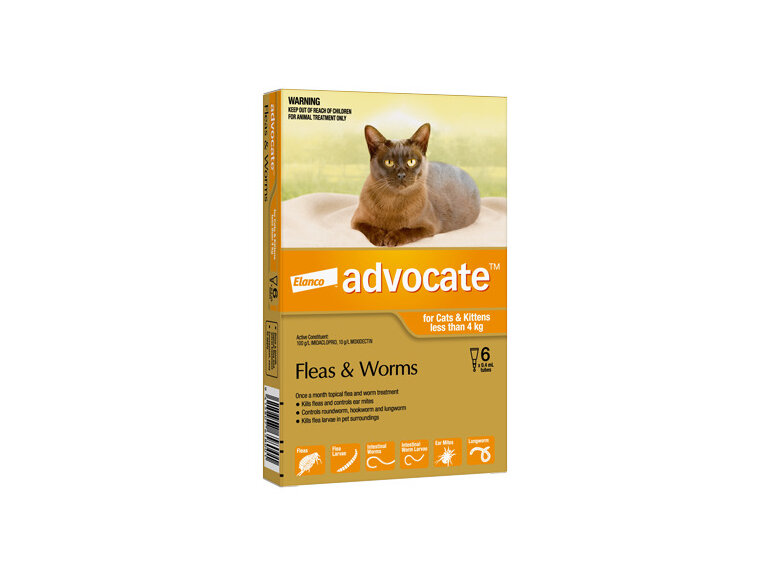 Advocate® Flea and Worm Treatment for Cats & Kittens less than 4kg, 3 or 6 pack