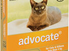 Advocate® Flea and Worm Treatment for Cats & Kittens less than 4kg, 3 or 6 pack